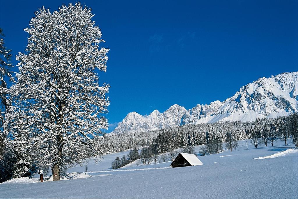 Hotel Jagdhof Ramsau am Dachstein Zewnętrze zdjęcie